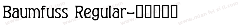 Baumfuss Regular字体转换